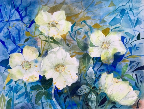 Kunstdruck Grußkarten-Set V (Christrose, Heckenrose, Lupinen und Gelbe Tulpen) – Bild 4