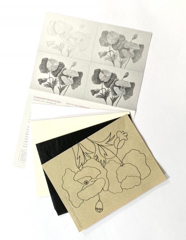 Mohnblumen zeichnen - Lernkarte DIN A5 – Bild 2
